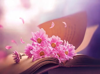 zdjęcie kwiatów i książki